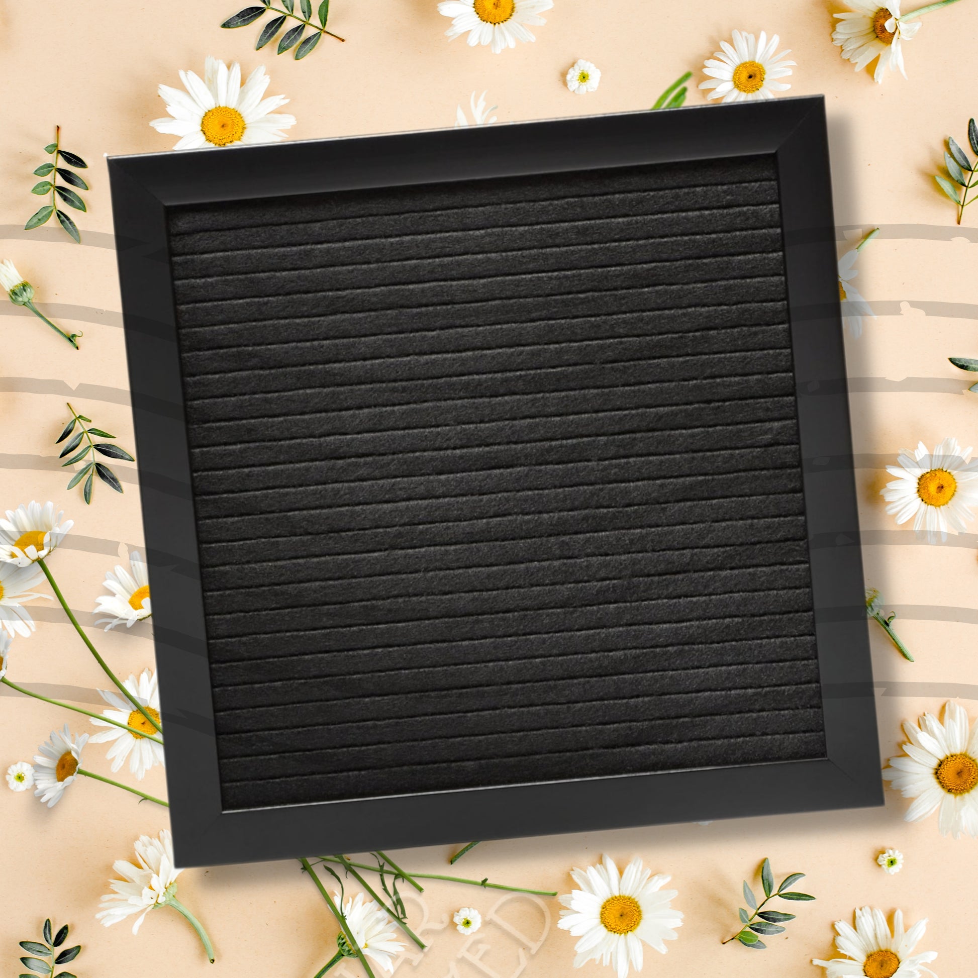Black rectangular frame on a beige background with white flowers and green leaves.