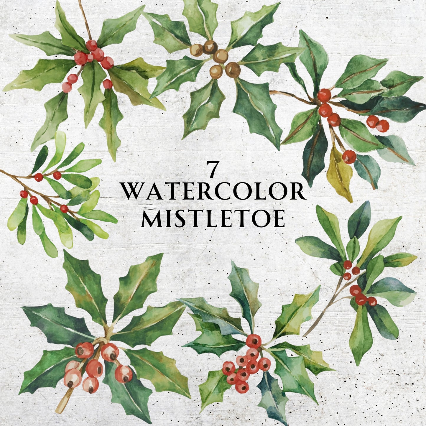 Watercolor Mistletoe Clip Art | FREEBIE