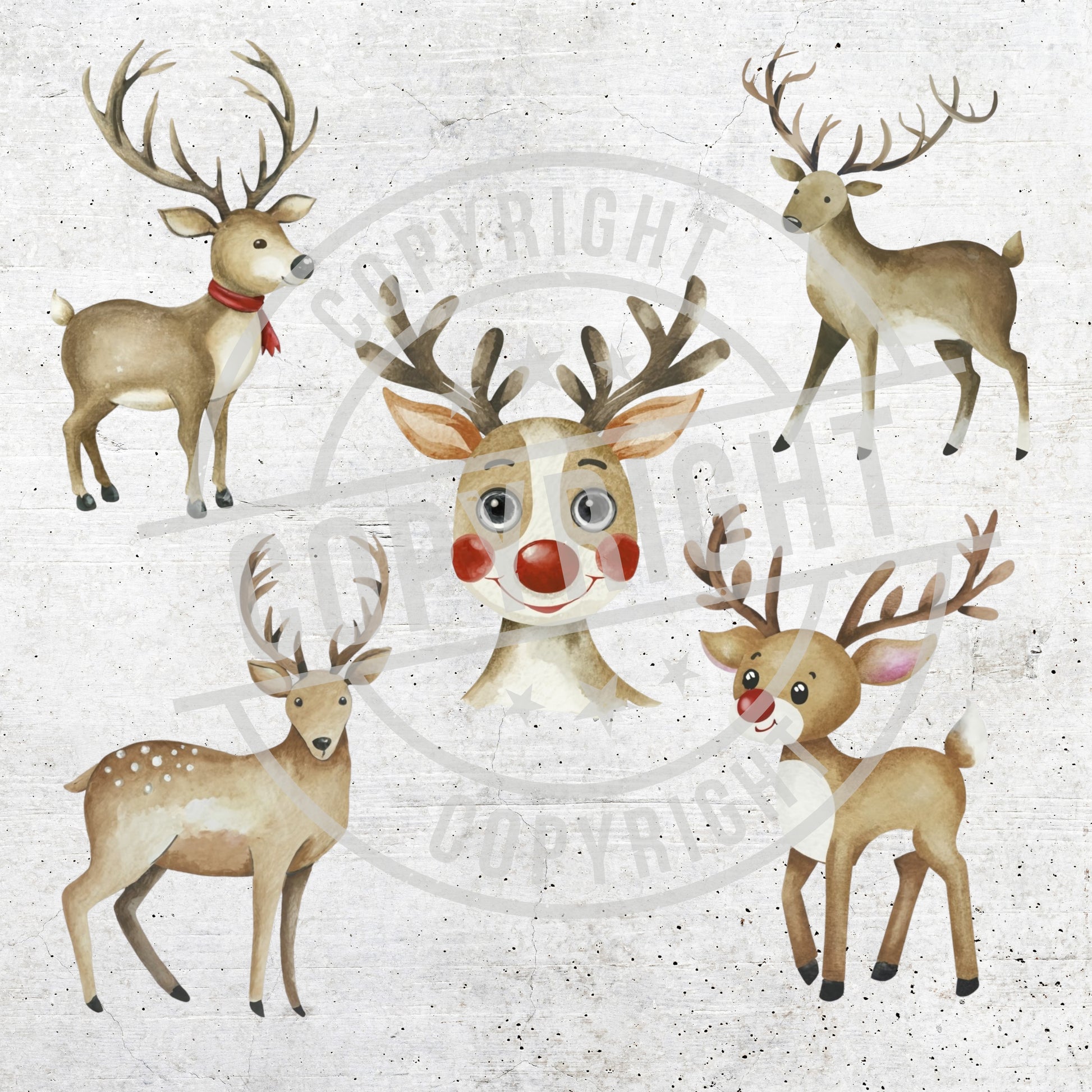 Illustration of a reindeer with a red nose surrounded by other reindeer on a textured white background.