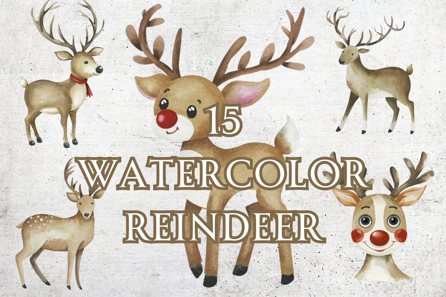 15 Watercolor Reindeer Clip Art - Sunny Jar Personalized Designs