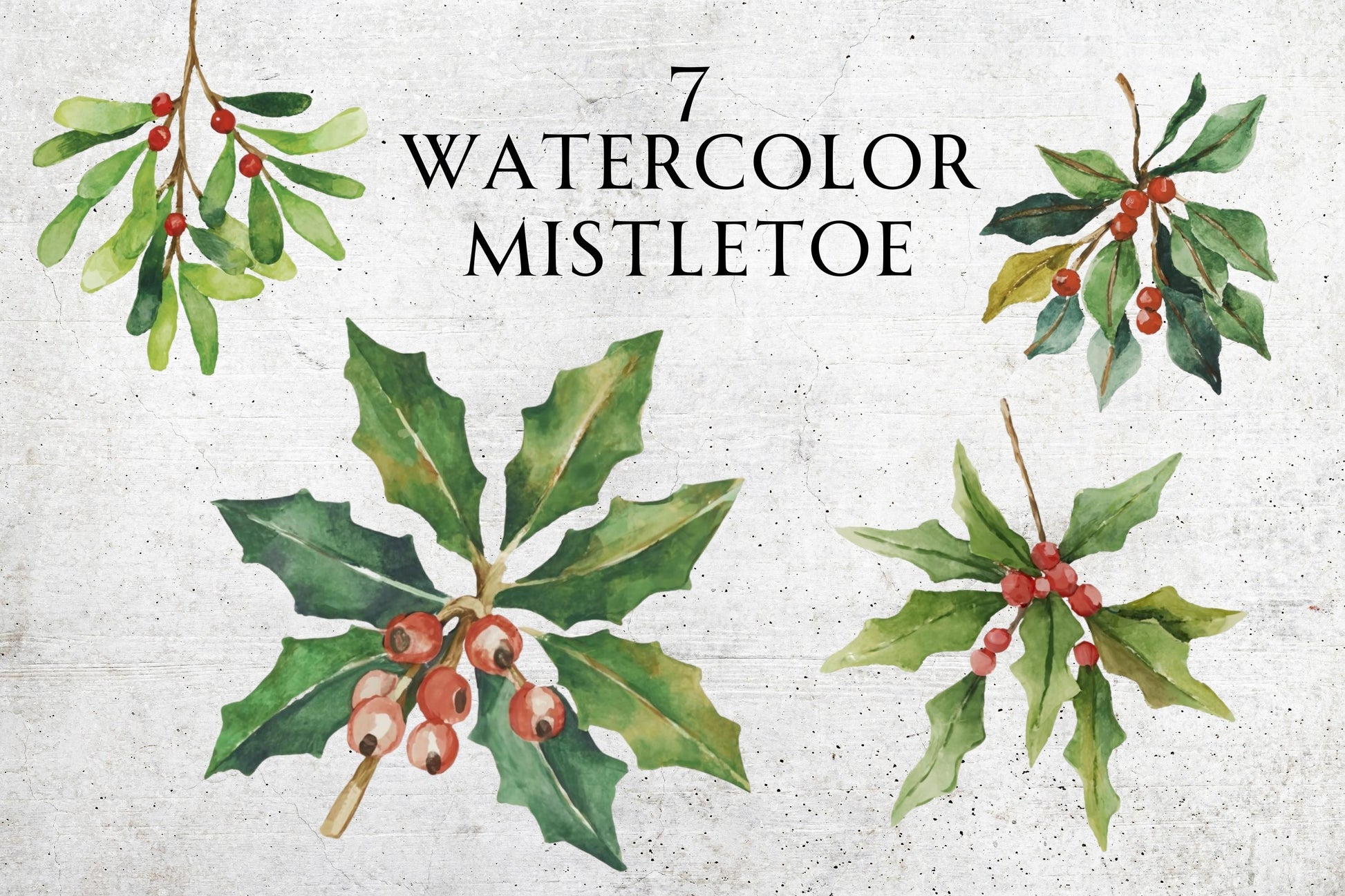 Watercolor Mistletoe Clip Art - Sunny Jar Personalized Designs