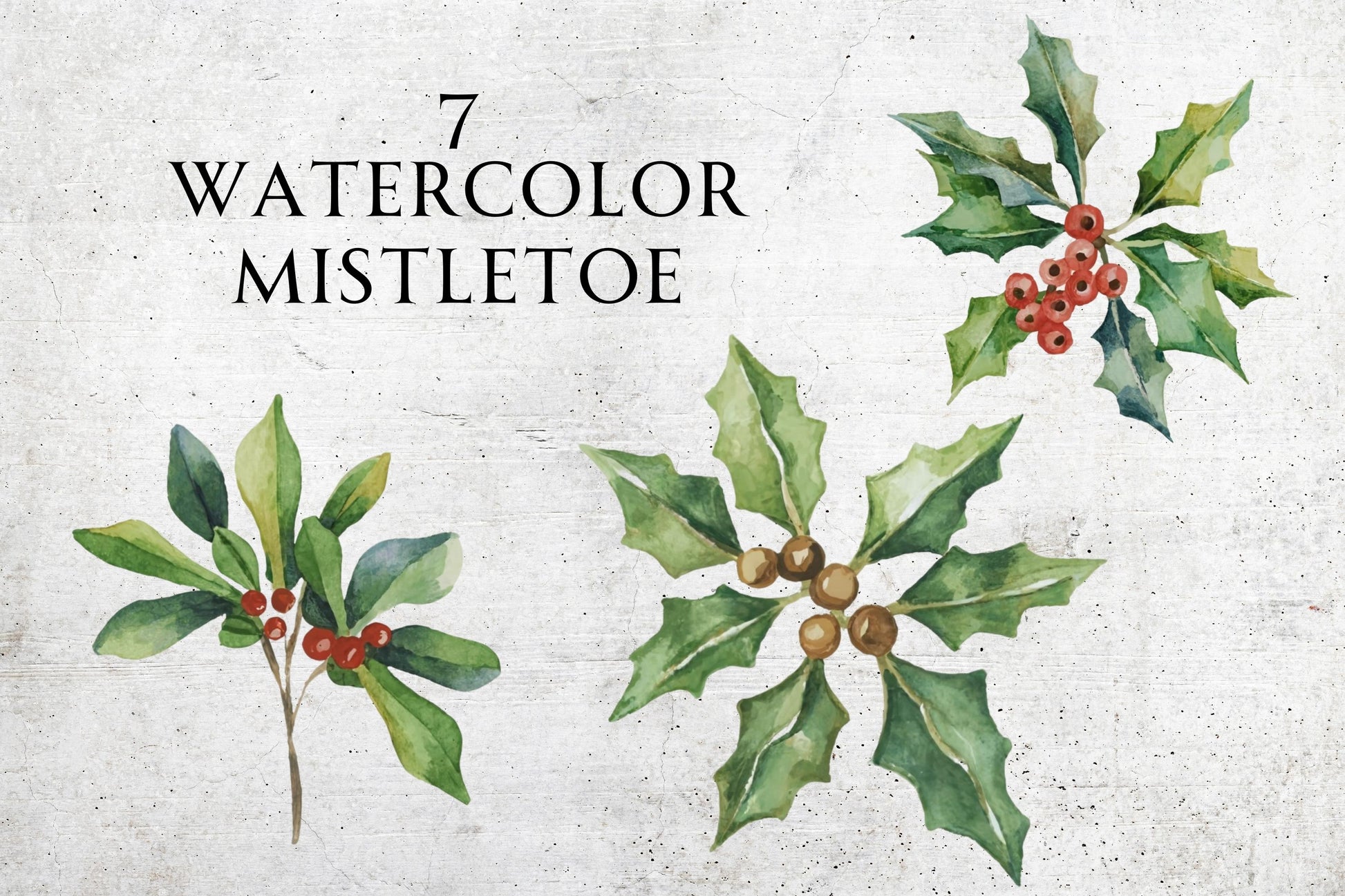 Watercolor Mistletoe Clip Art - Sunny Jar Personalized Designs